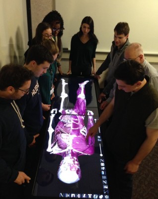 UConn medical and dental students work  on the Anatomage - a virtual anatomy table. 